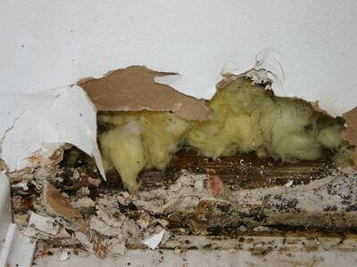 About Quick Water Restoration - water damage restoration experts in Sun City, AZ